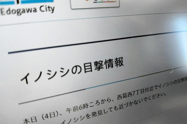 江戸川区のウェブサイトの「イノシシの目撃情報」のページ