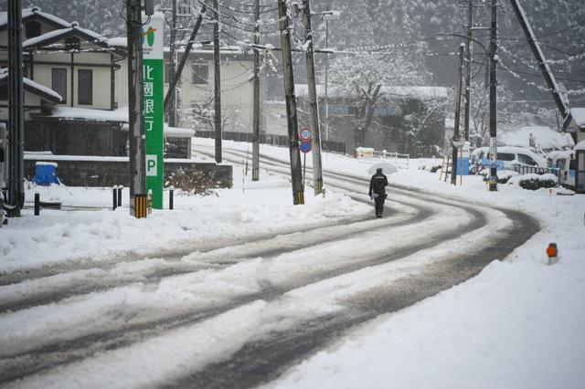 雪の中を傘を差しながら歩く人