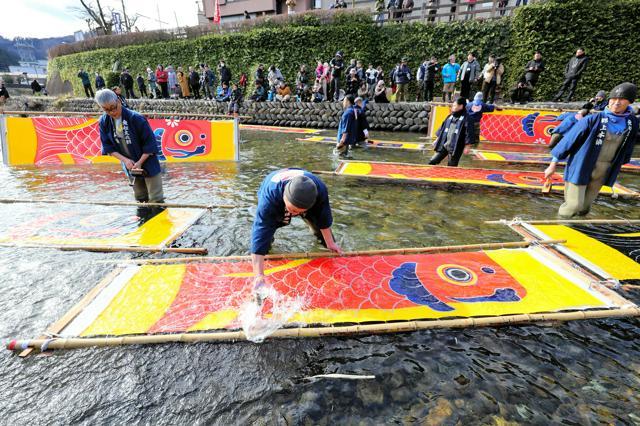 清流でこいのぼりのもちのりを落とす郡上本染後援会のメンバーら