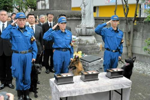 警察犬の慰霊祭で、敬礼をする警視庁の関係者と警察犬