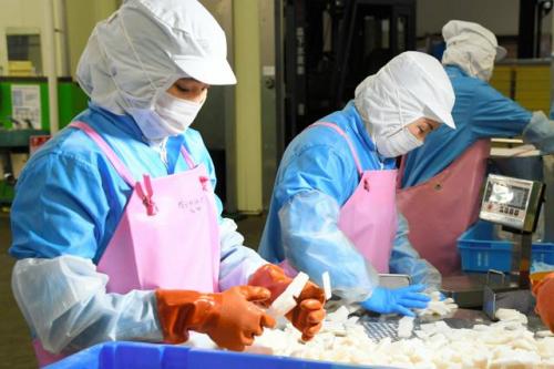 冷凍イカの重さをはかるベトナムや中国からの外国人労働者たち